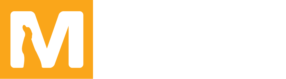 Magnus News Agency Logo